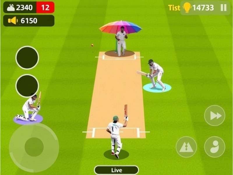 Super Cricket Smasher Strategy Guide
